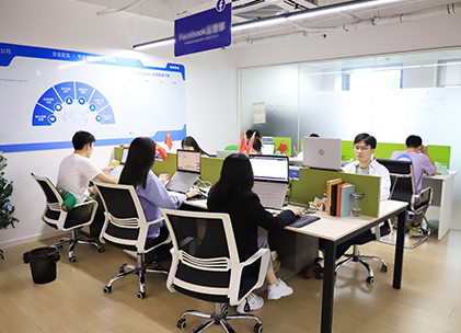 companyprofile